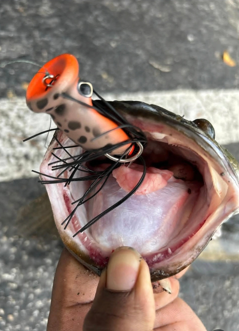 Invasive Lures CHUGGERKNOT