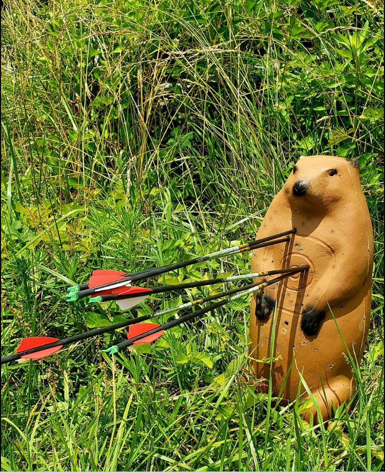 BIGshot Archery Real Wild 3D Standing Groundhog Archery Target with EZ Pull Foam