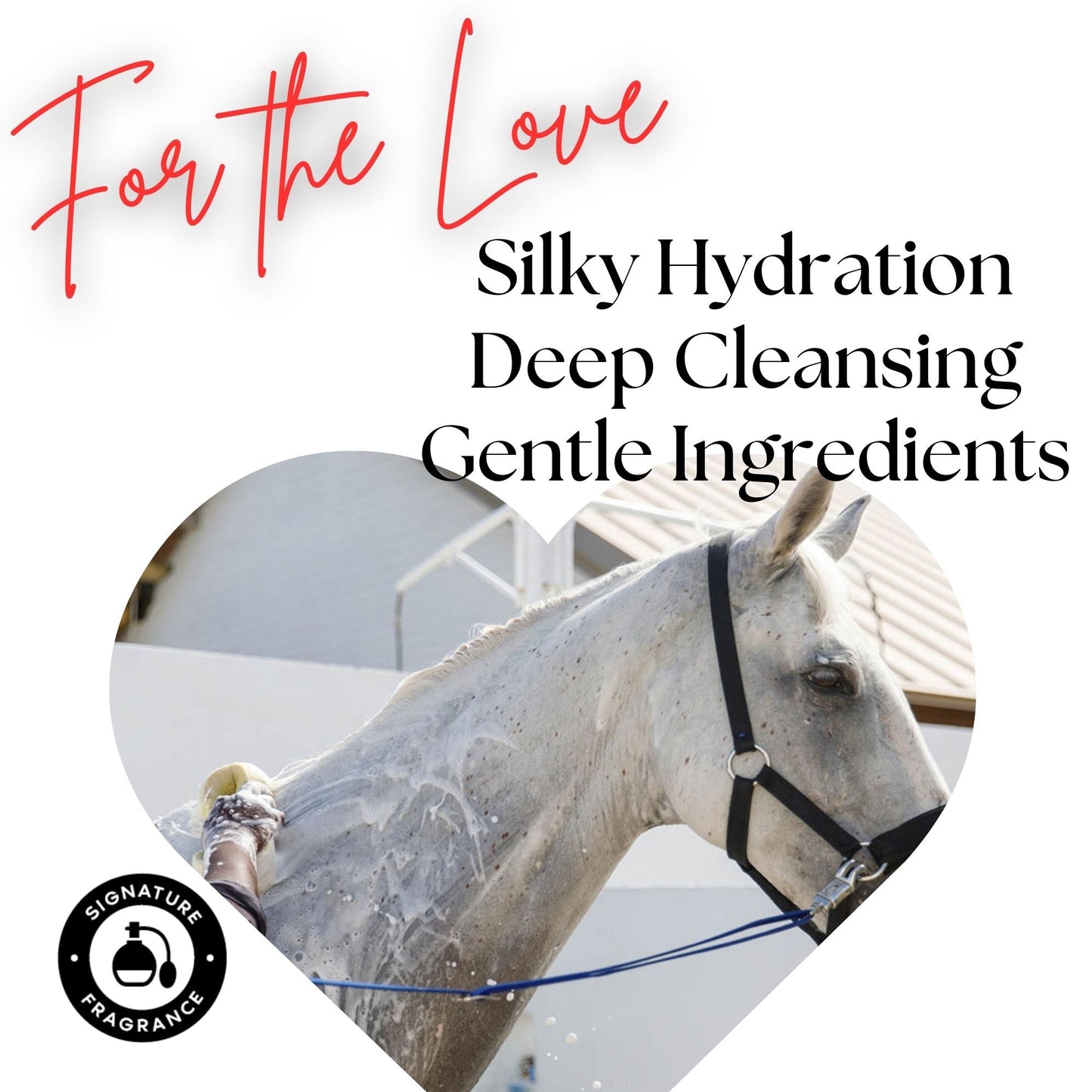 Zone Protects Silk-Stride Equine Shampoo; Frosted Lavender, 32oz