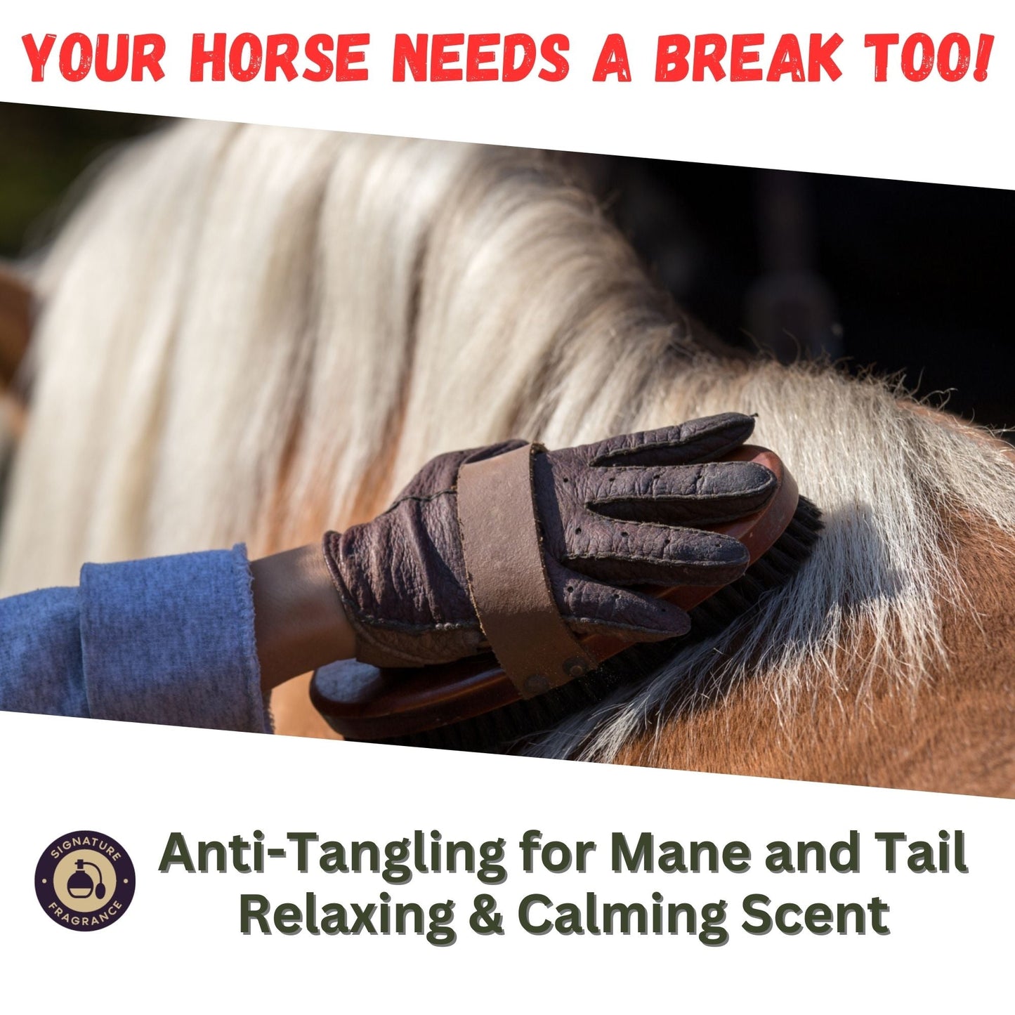 Zone Protects Silk Stride Detangle Equine Spritzer, Frosted Lavender