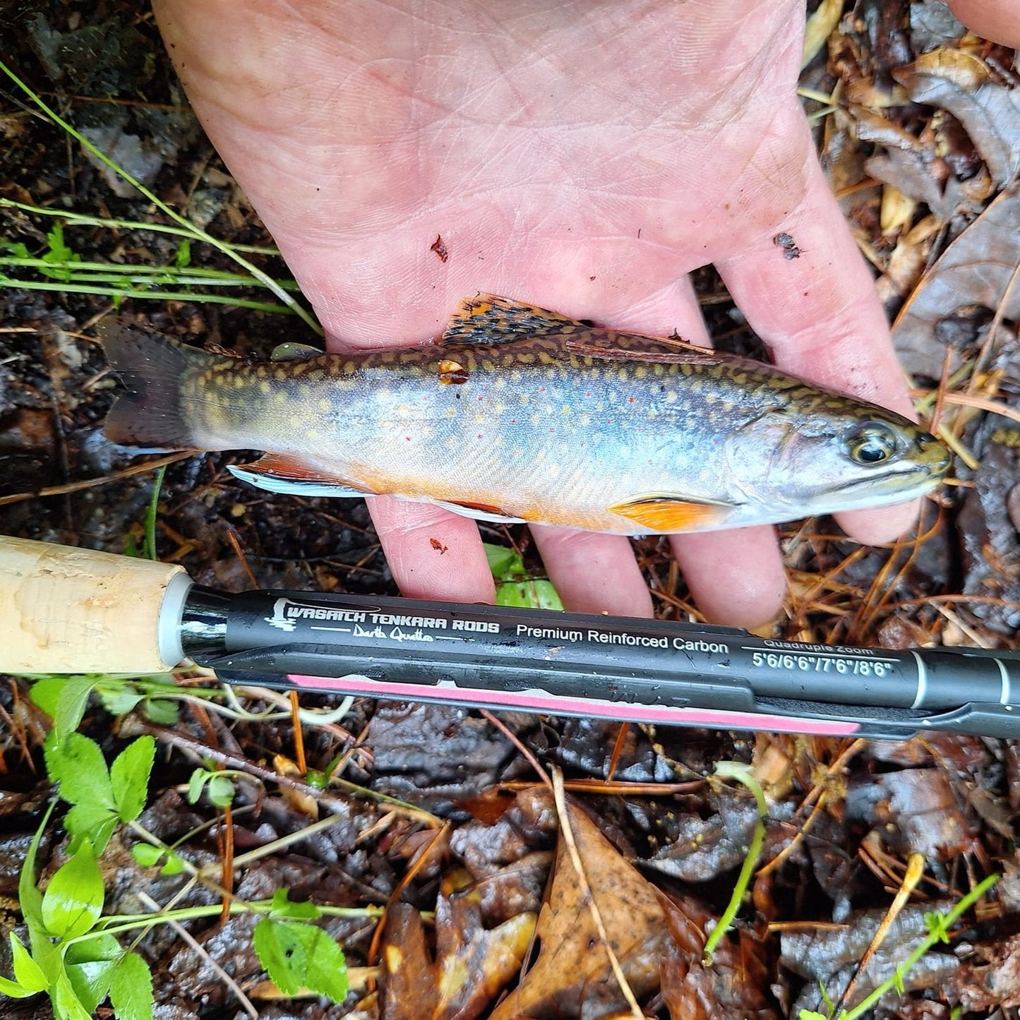 Wasatch Darth Quattro Tenkara Rod