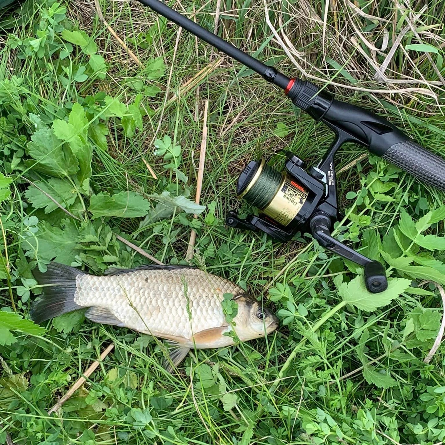 Wasatch Tenkara Rods Command Force