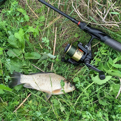 Wasatch Tenkara Rods Command Force