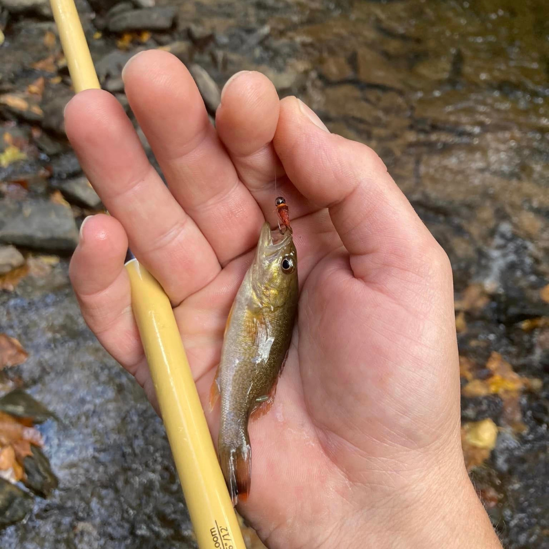 Wasatch Hankyu Middle Fork Tenkara Rod