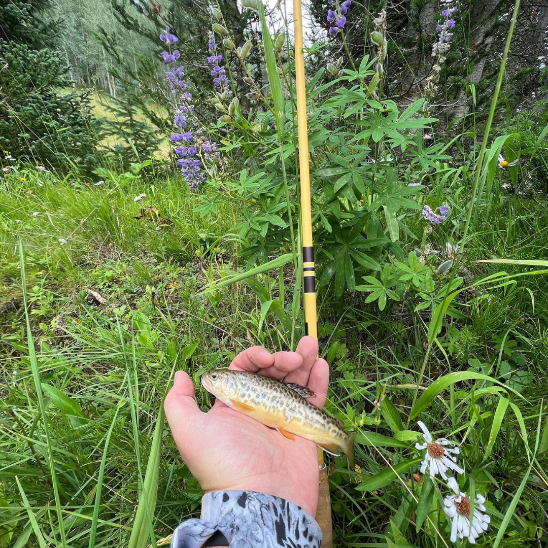 Wasatch Hankyu Middle Fork Tenkara Rod