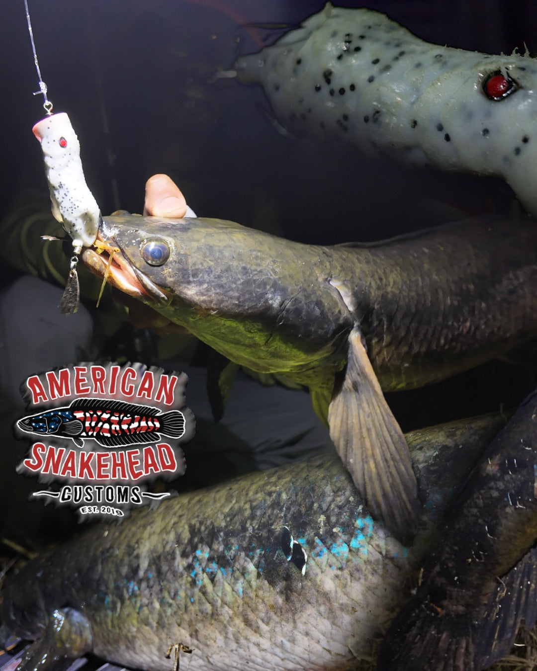 American Snakehead Customs Pop N' Snek Frog