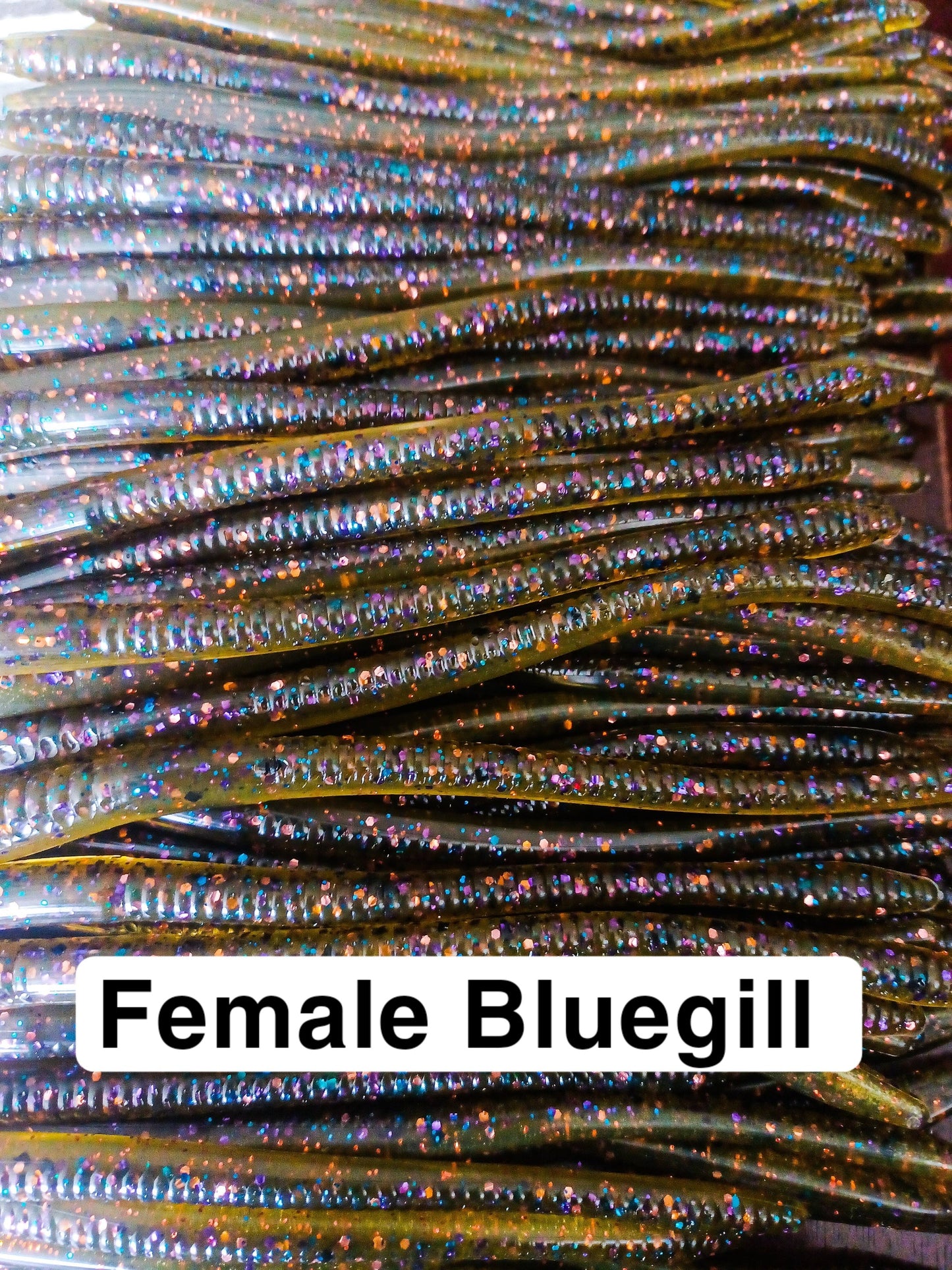 Southern Indiana Bait Co. 6" Worm