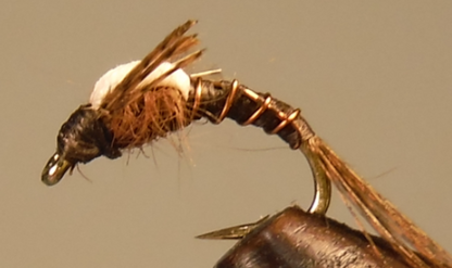 Stone Creek Split Foam Back™ Midges