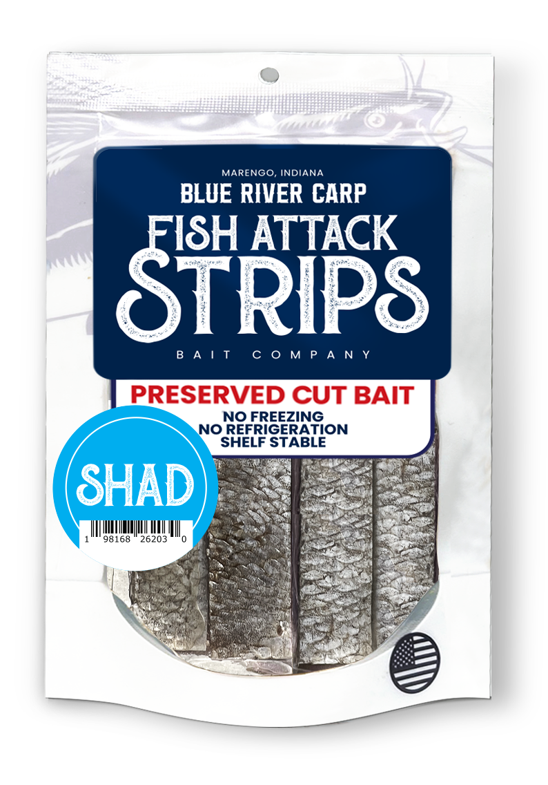 Blue River Carp Fish Attack Strips