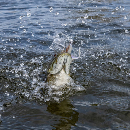 Duckett Sway Minnow