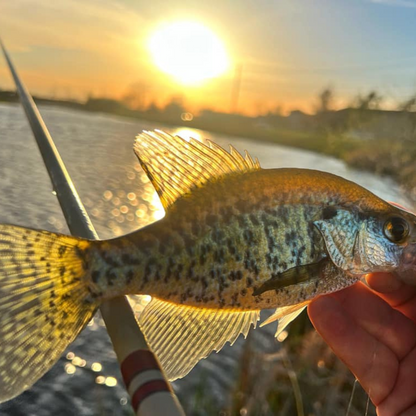 Wasatch Daikyu T-Hunter Tenkara Rod