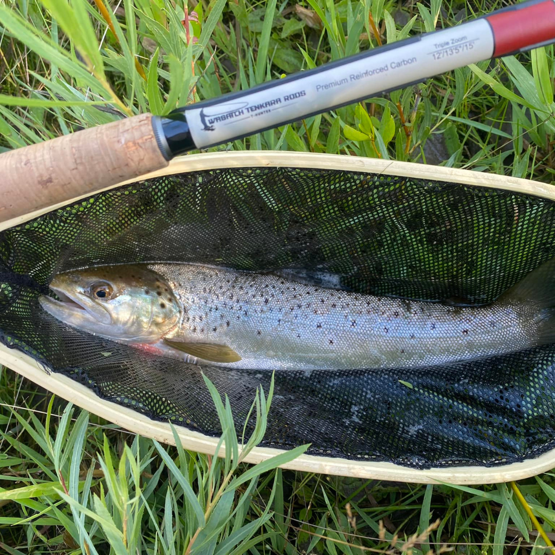 Wasatch Daikyu T-Hunter Tenkara Rod