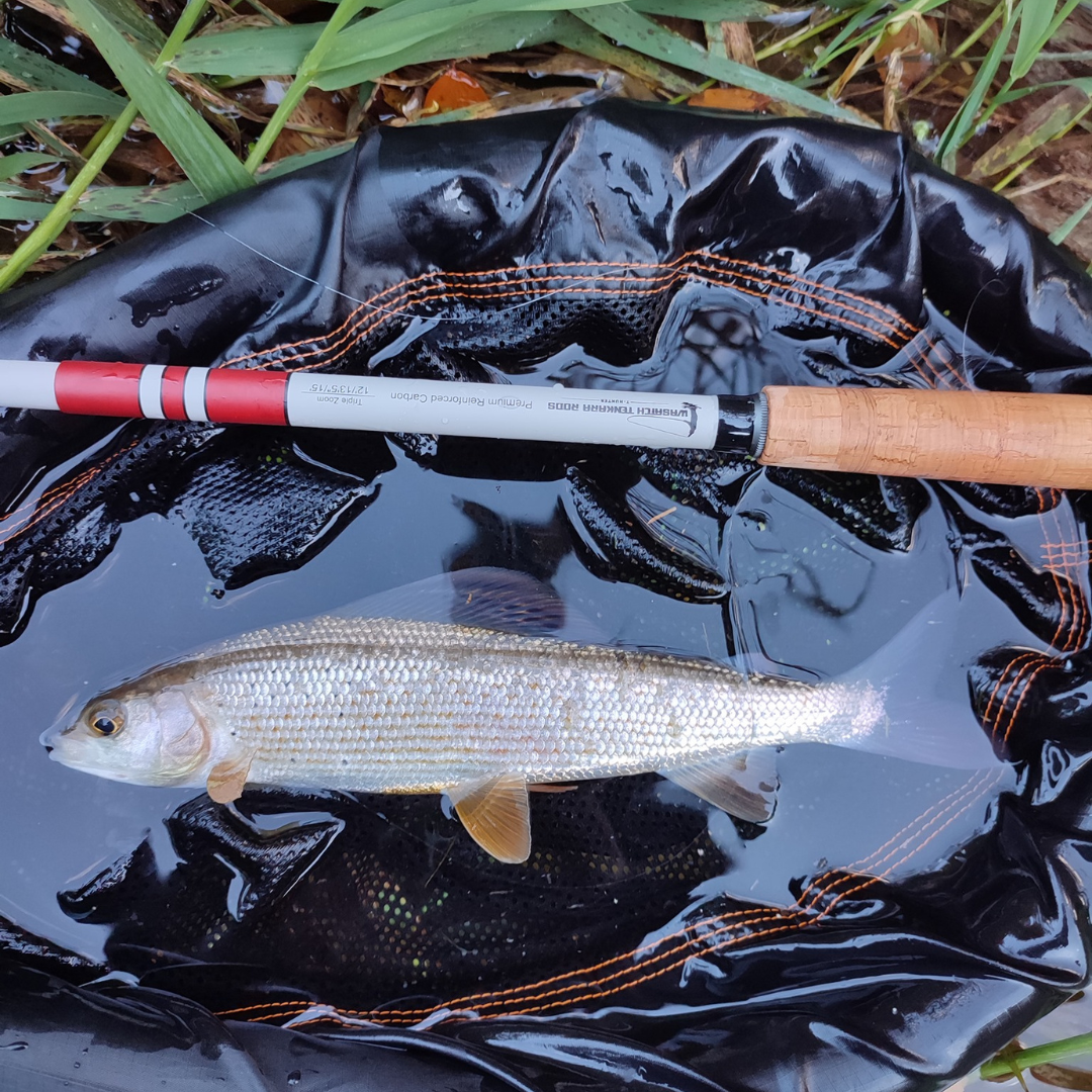 Wasatch Daikyu T-Hunter Tenkara Rod
