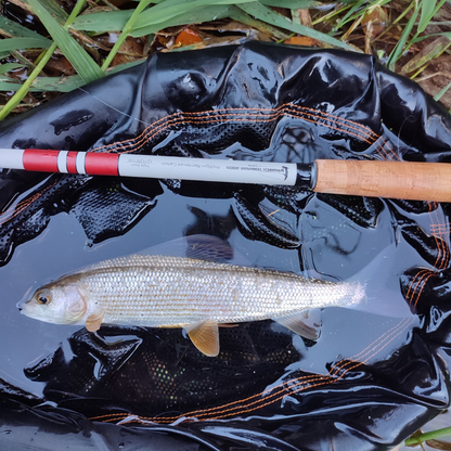 Wasatch Daikyu T-Hunter Tenkara Rod