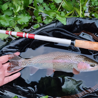 Wasatch Daikyu T-Hunter Tenkara Rod