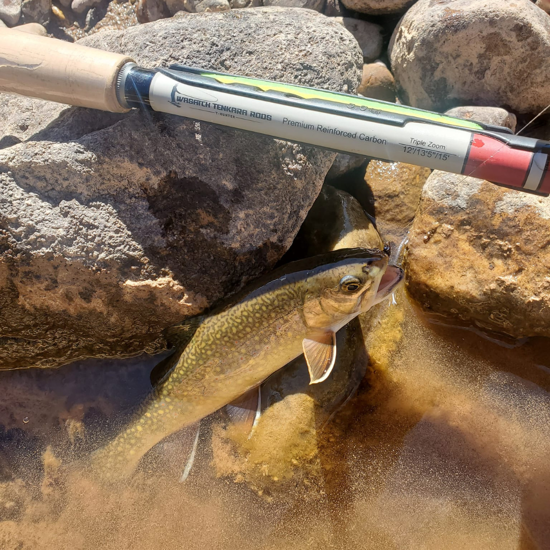 Wasatch Daikyu T-Hunter Tenkara Rod
