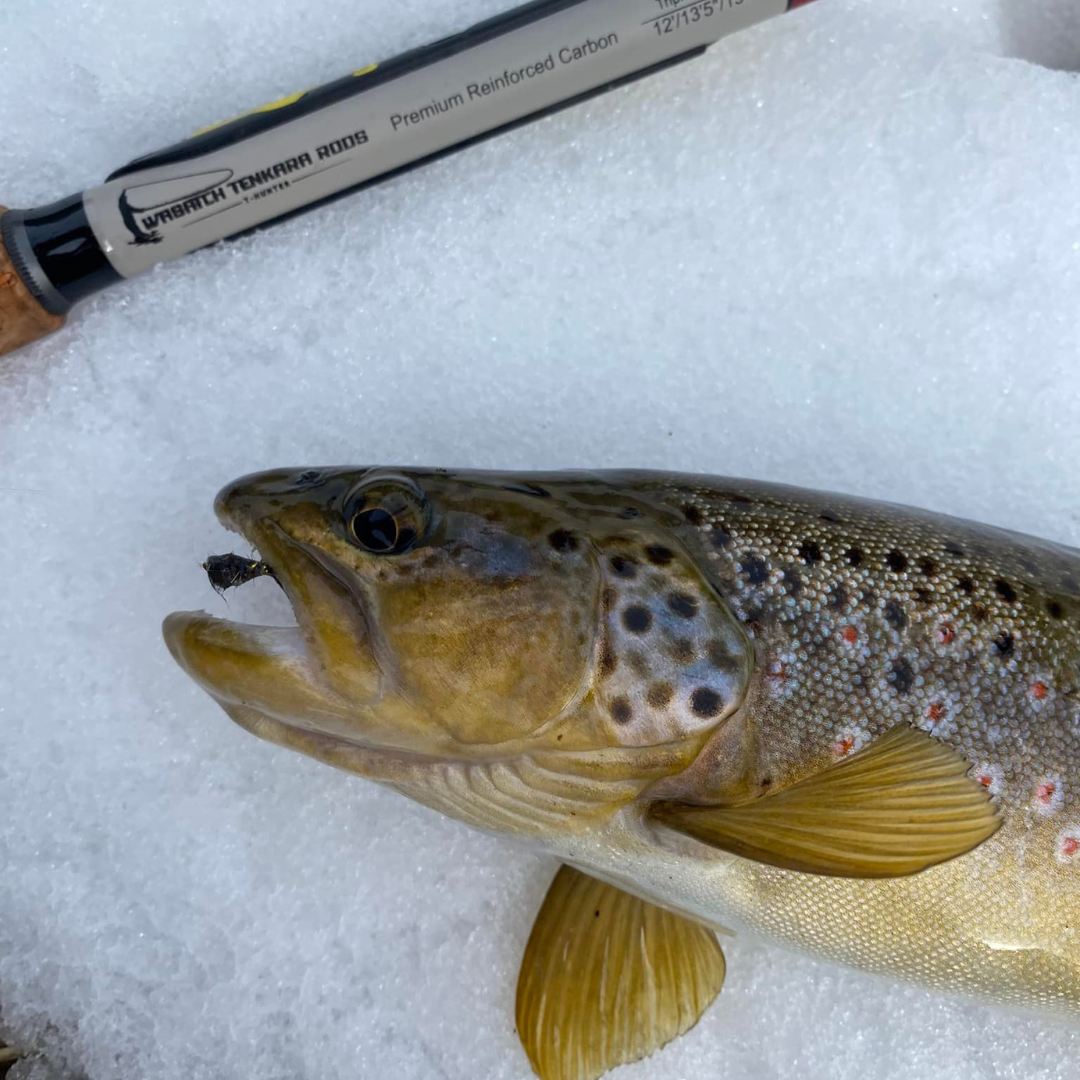 Wasatch Daikyu T-Hunter Tenkara Rod