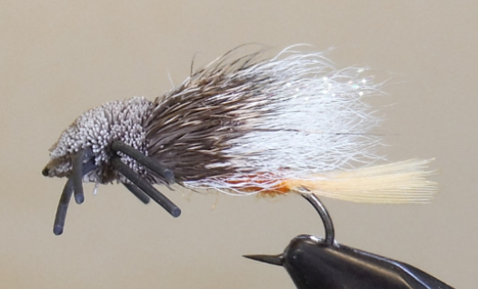 Stone Creek Tarantulas