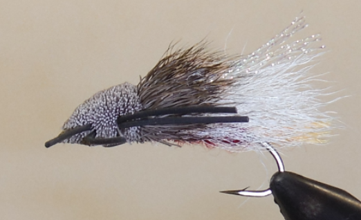 Stone Creek Tarantulas