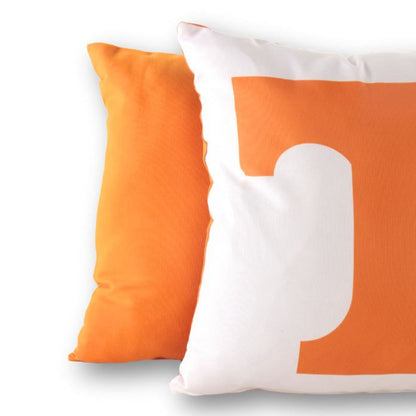 Campus Hammocks University of Tennessee Colors Pillow Cover