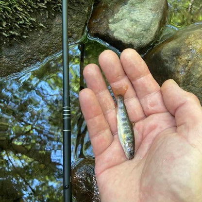 Wasatch Darth Quattro Tenkara Rod