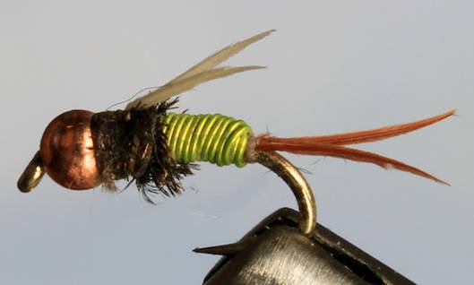 Stone Creek BH Ultra Prince - 5 Colors