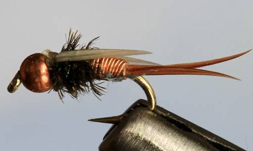 Stone Creek BH Ultra Prince - 5 Colors