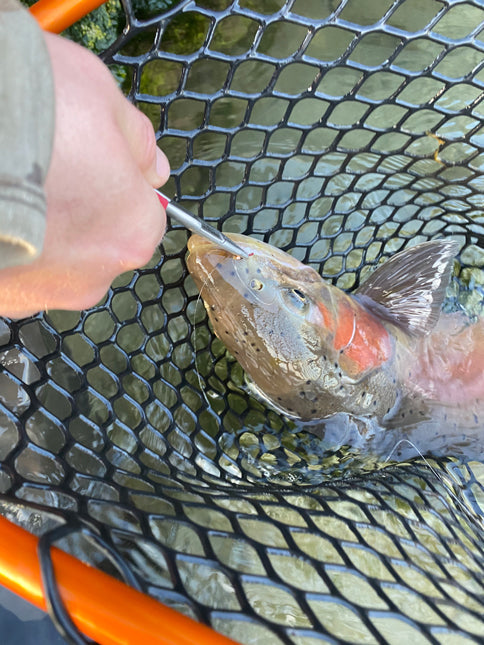 Rising Fishing Ultralight