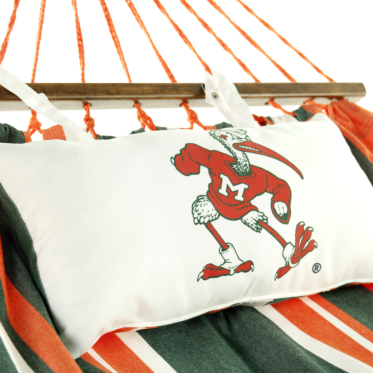 Campus Hammocks Miami Hurricanes Ibis Hammock
