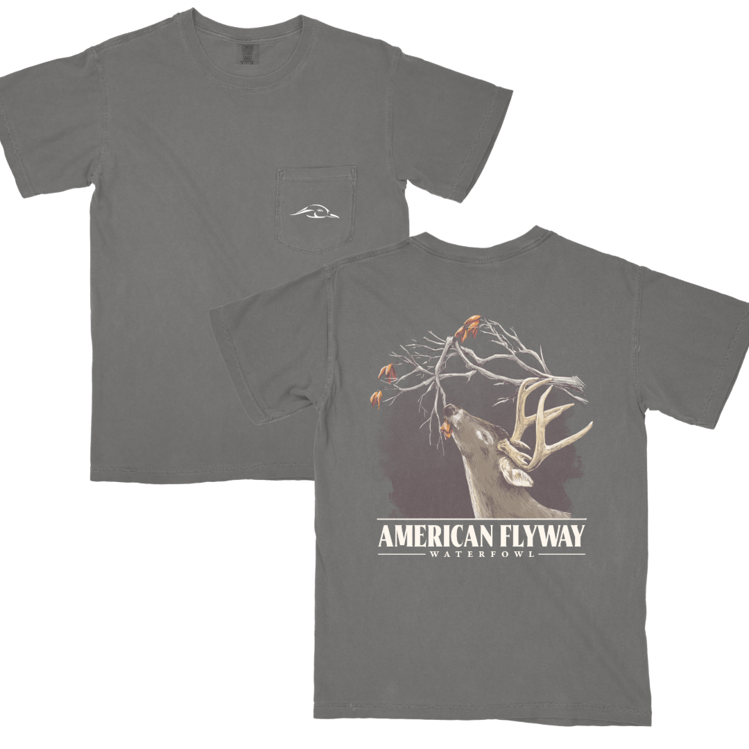American Flyway Waterfowl Nibbling Buck