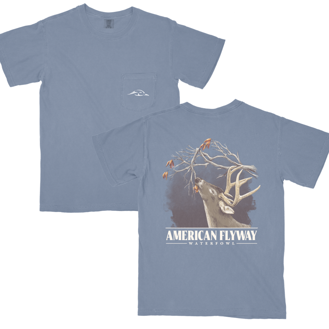 American Flyway Waterfowl Nibbling Buck