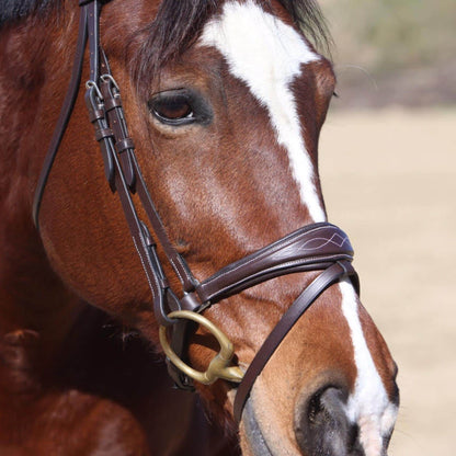 Bridles & Reins ExionPro Anatomical Dressage Bridle with Reins