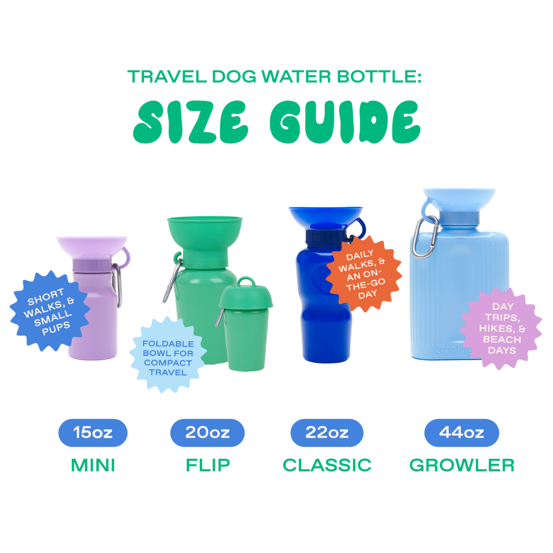 Springland Pets 15oz Original Dog Travel Water Bottle