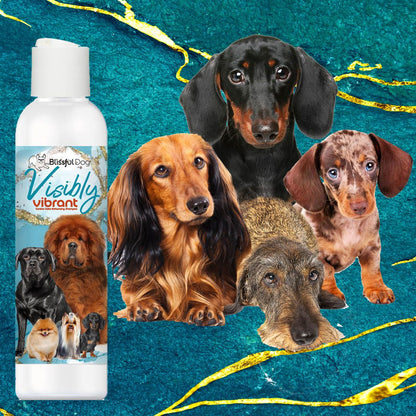 The Blissful Dog Visibly Vibrant Pet Shampoo