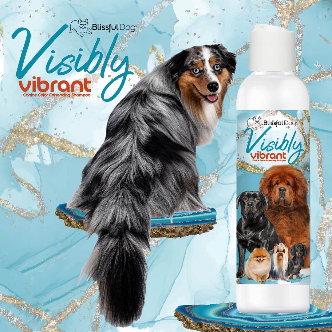 The Blissful Dog Visibly Vibrant Pet Shampoo