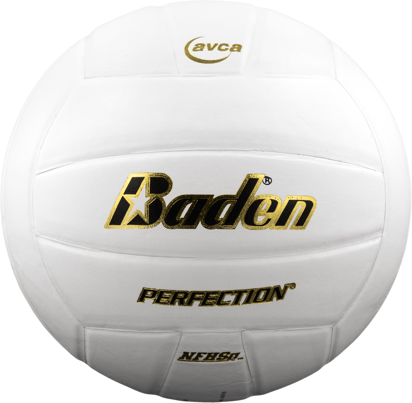 Baden Sports Perfection Leather Volleyball