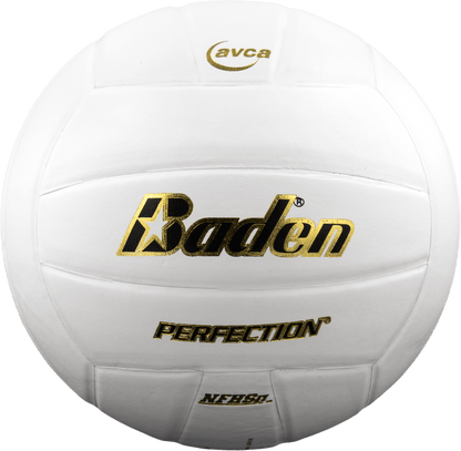 Baden Sports Perfection Leather Volleyball