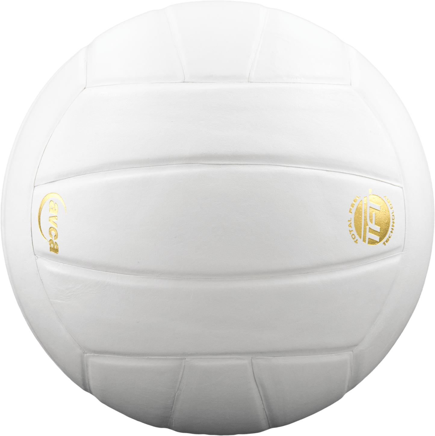 Baden Sports Perfection Leather Volleyball