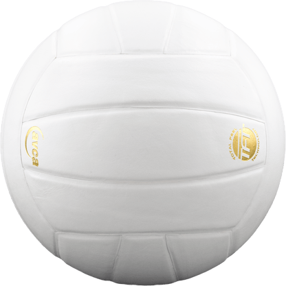 Baden Sports Perfection Leather Volleyball
