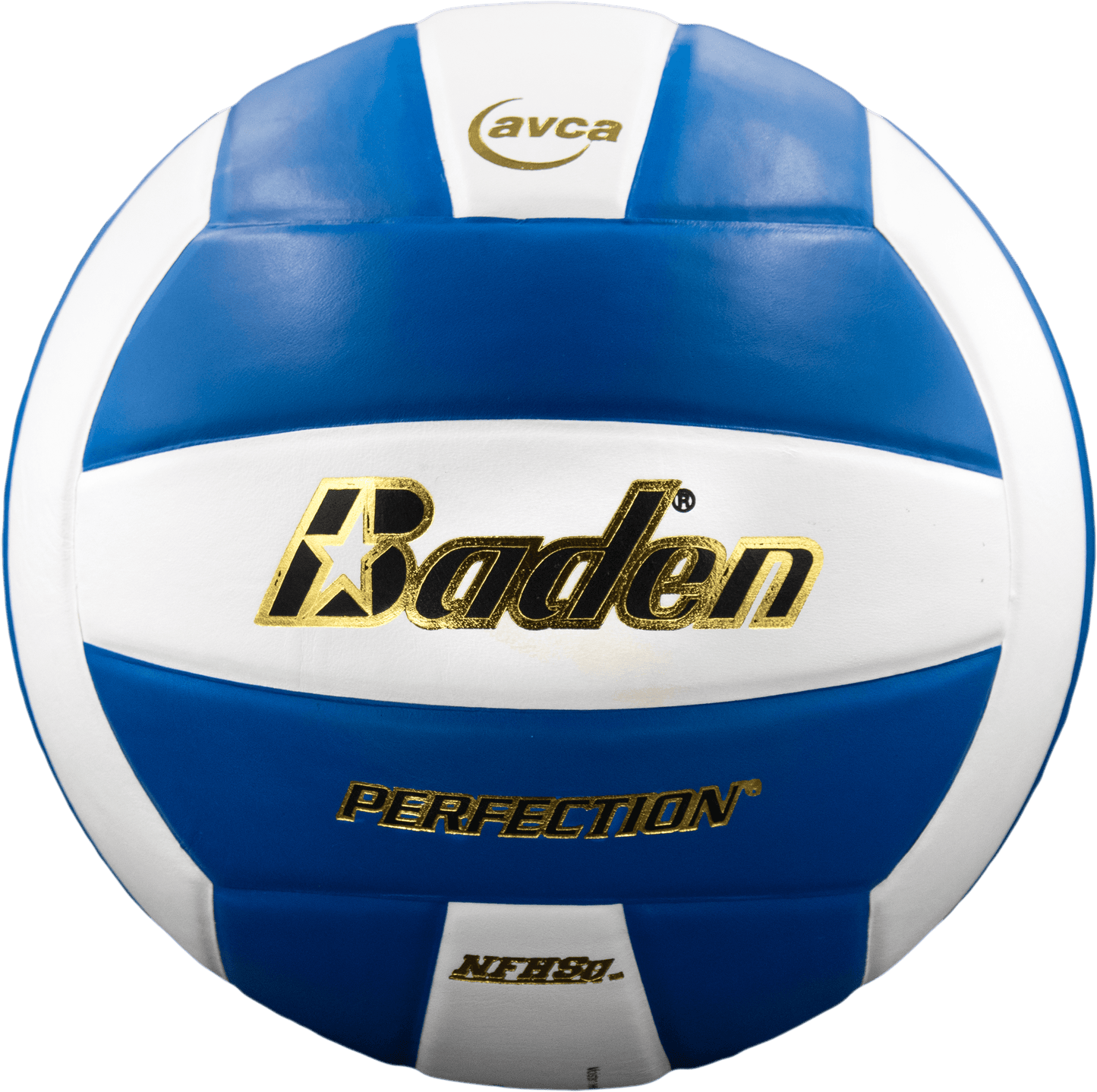 Baden Sports Perfection Leather Volleyball