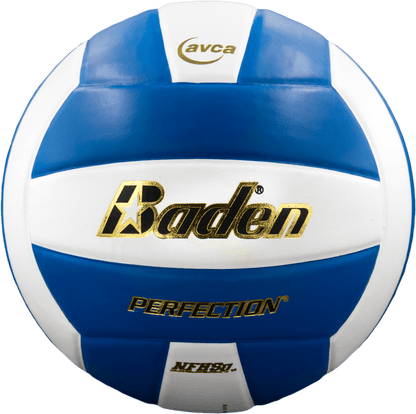 Baden Sports Perfection Leather Volleyball