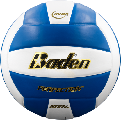 Baden Sports Perfection Leather Volleyball