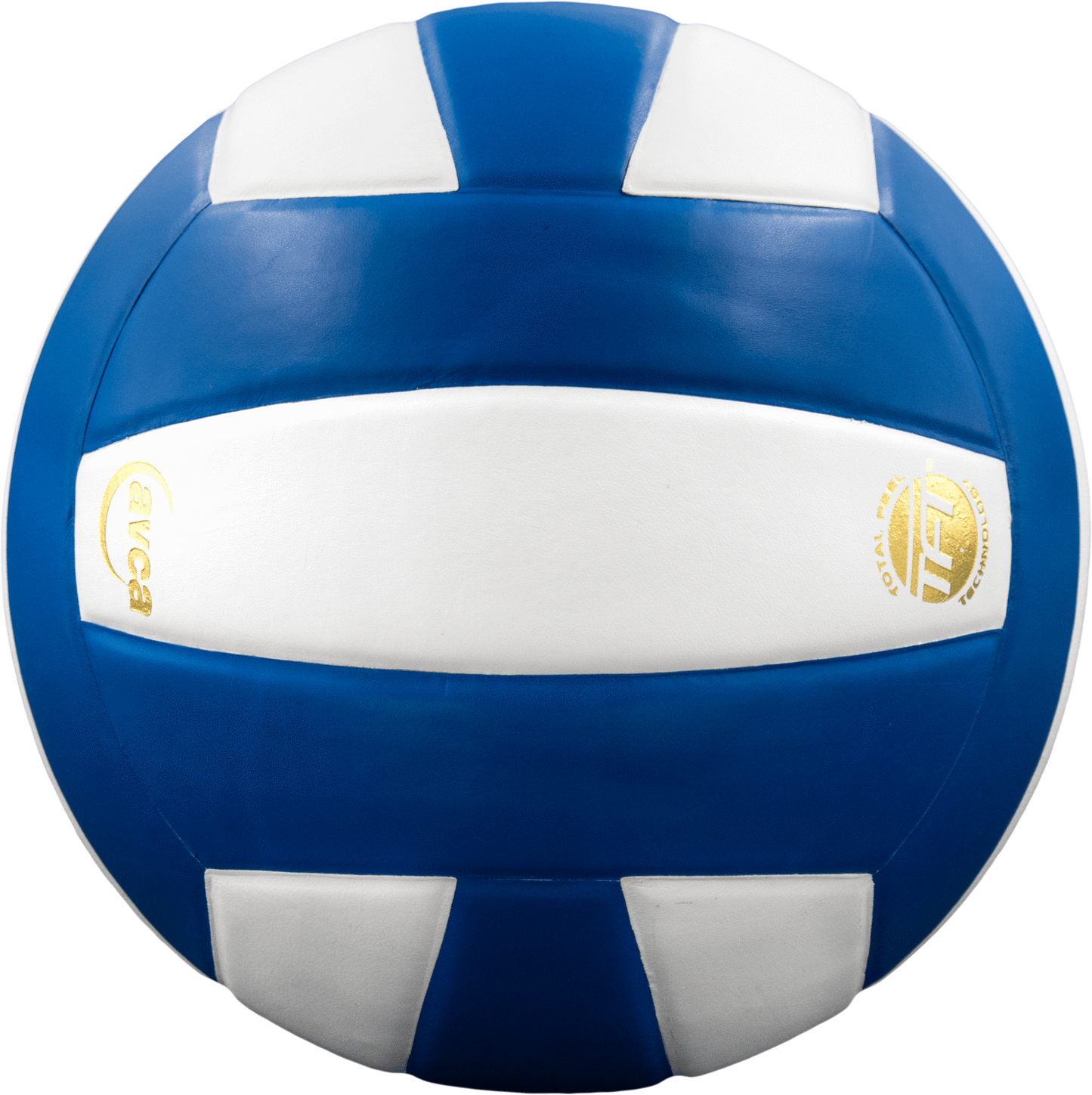 Baden Sports Perfection Leather Volleyball