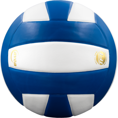 Baden Sports Perfection Leather Volleyball