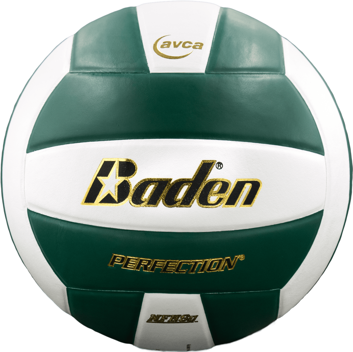 Baden Sports Perfection Leather Volleyball
