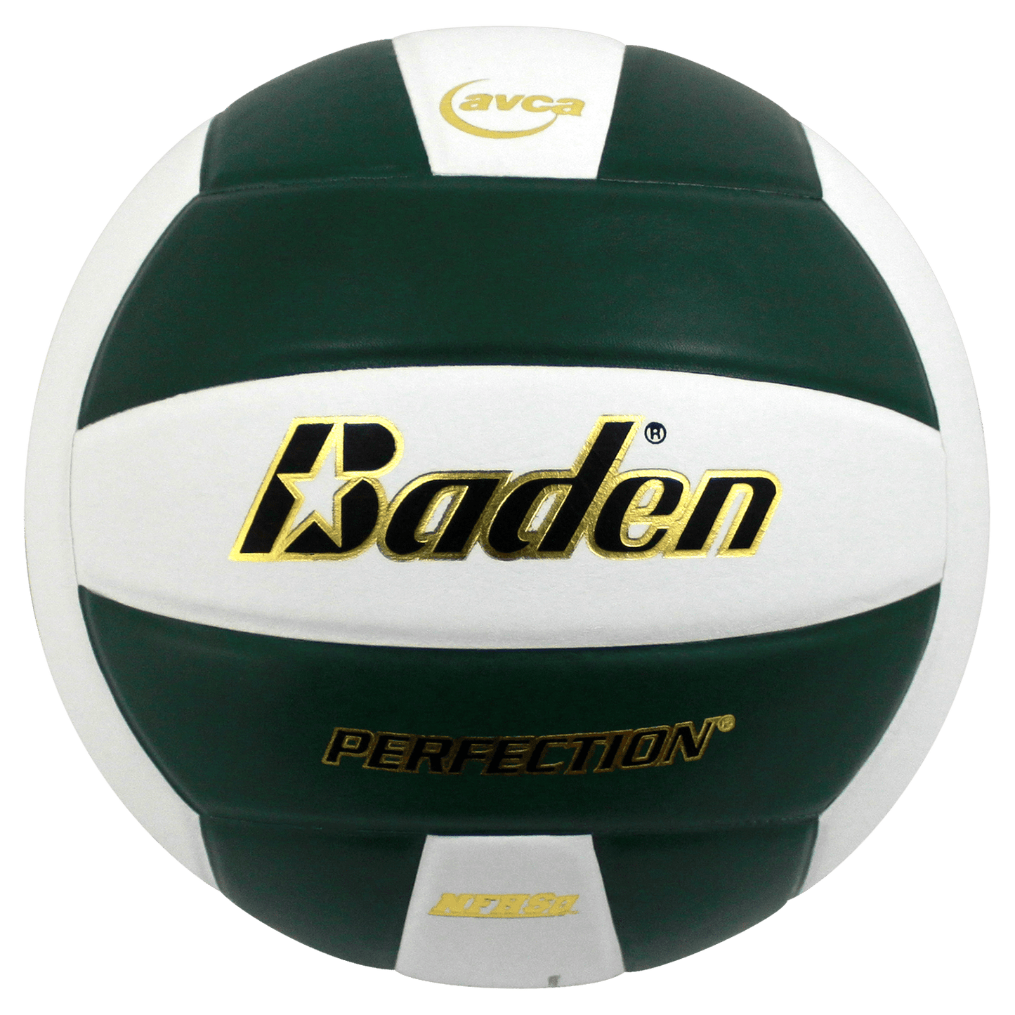 Baden Sports Perfection Leather Volleyball