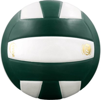 Baden Sports Perfection Leather Volleyball