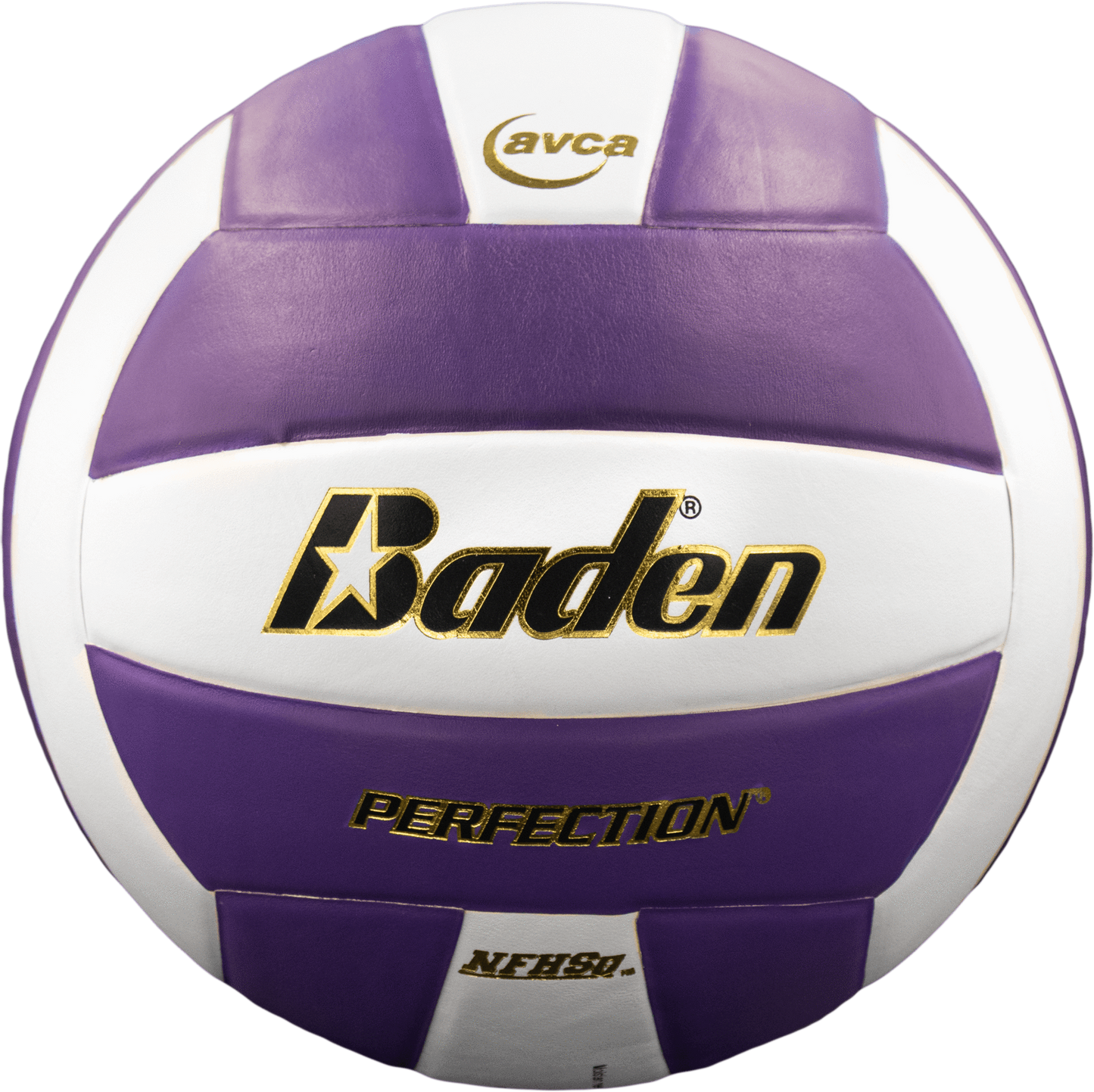 Baden Sports Perfection Leather Volleyball