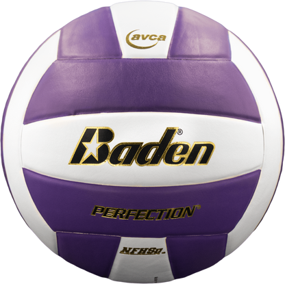 Baden Sports Perfection Leather Volleyball