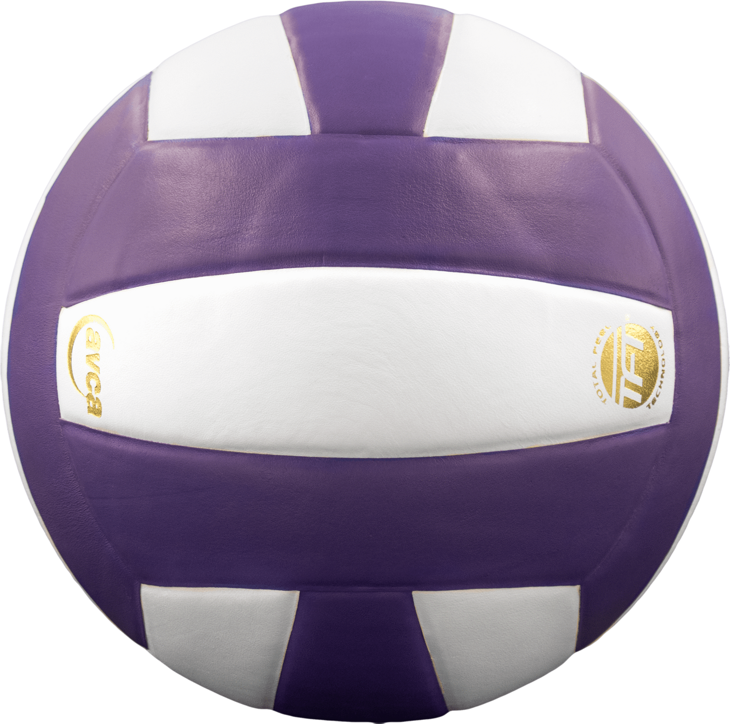 Baden Sports Perfection Leather Volleyball